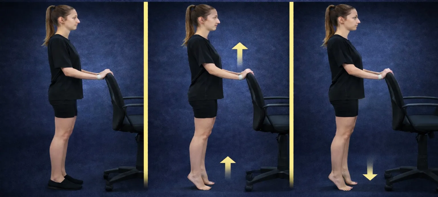 desk exercises for office workers calf raises to improve circulation