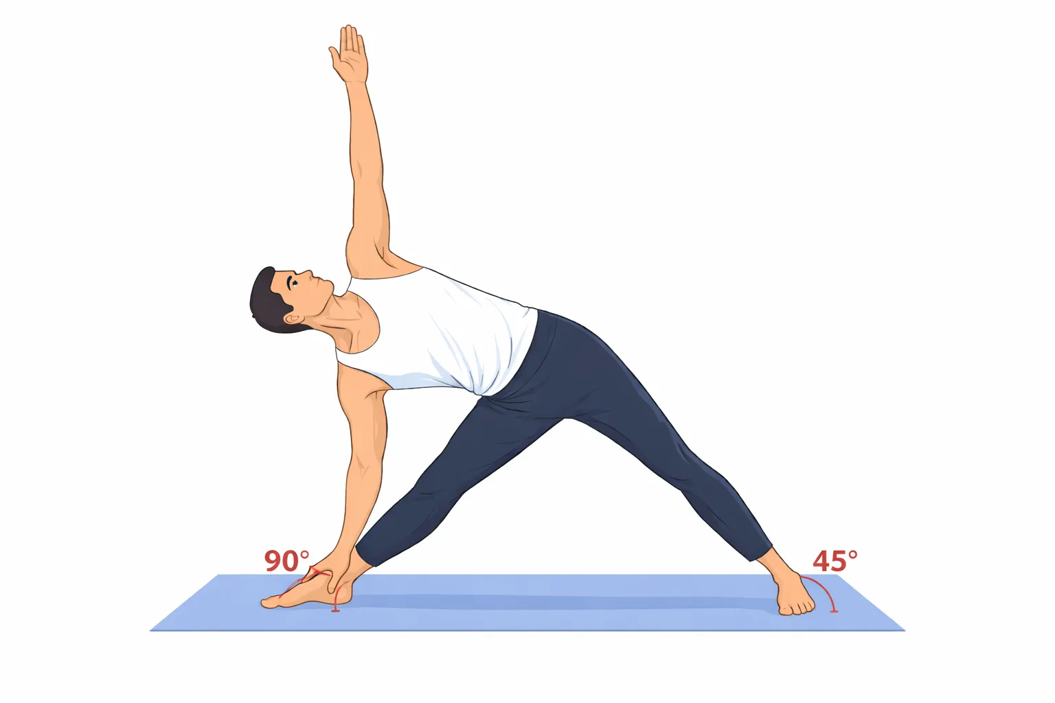 Triangle Yoga Pose alignment guide showing spine angle, leg position, and side body extension