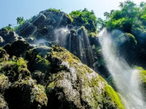 Spiritual and natural learning environment in Rishikesh near Himalayas