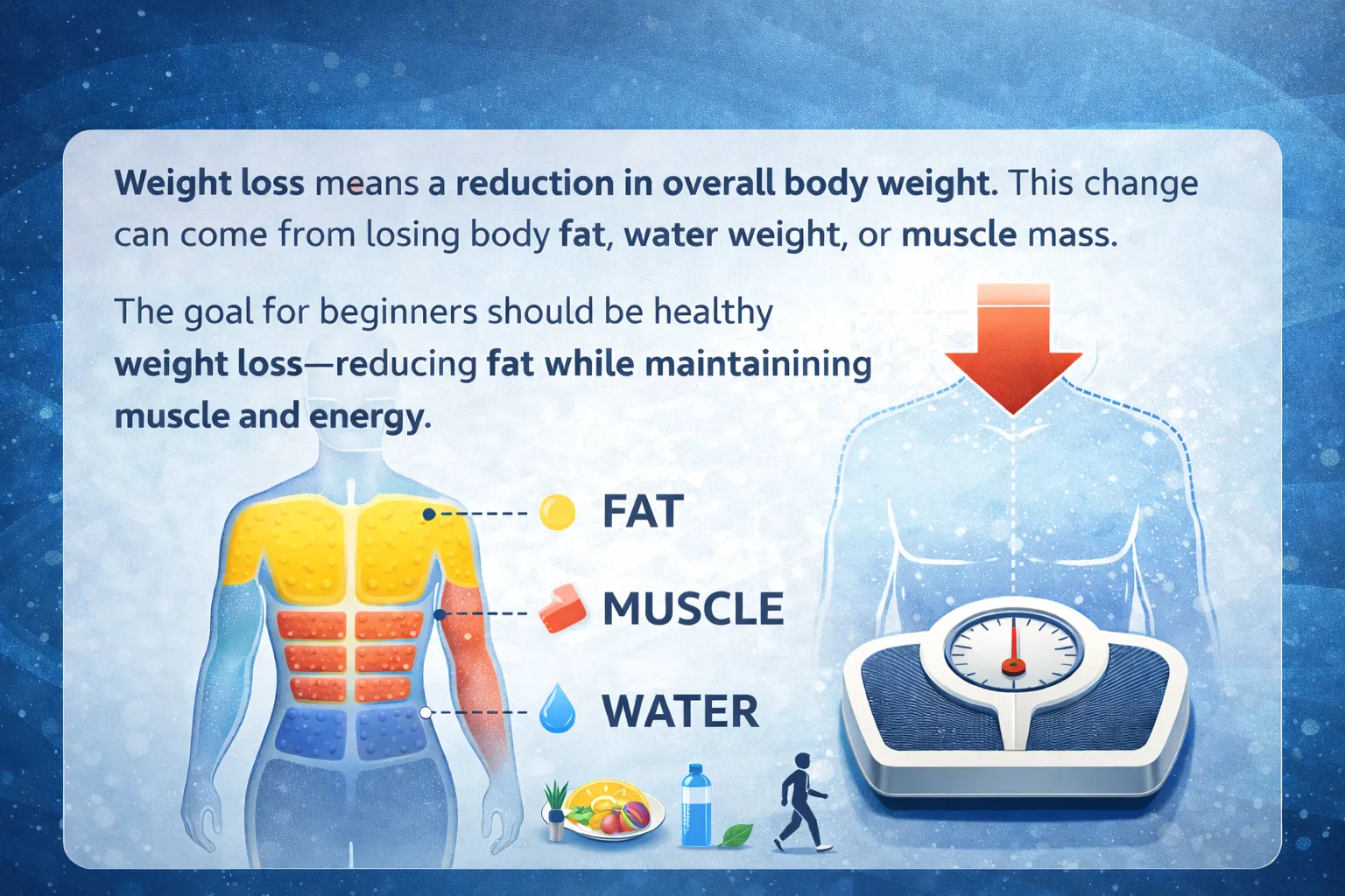 Weight Loss Explained