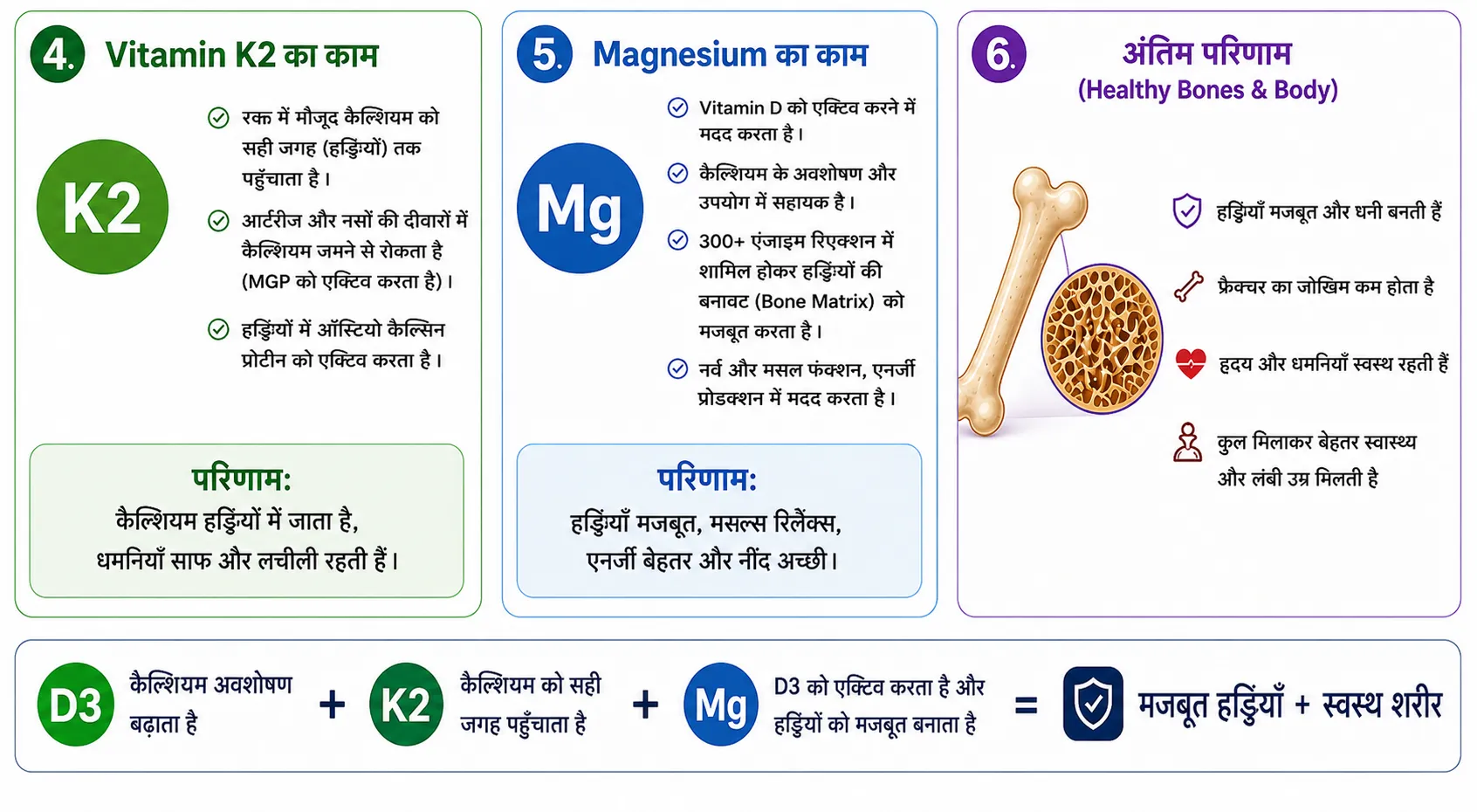Vitamin K2 और Magnesium हड्डियों को कैसे मजबूत बनाते हैं और शरीर को स्वस्थ रखते हैं इन्फोग्राफिक